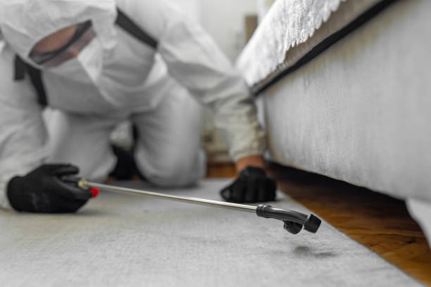 Professional Termite Control technician working in McGehee, AR
