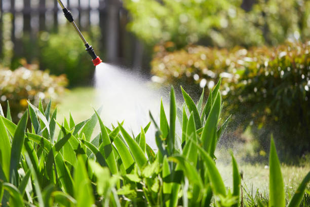 24/7 Emergency Termite Control experts in McGehee, AR